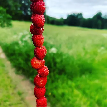 Fjord Road Apartman Hjelmeland