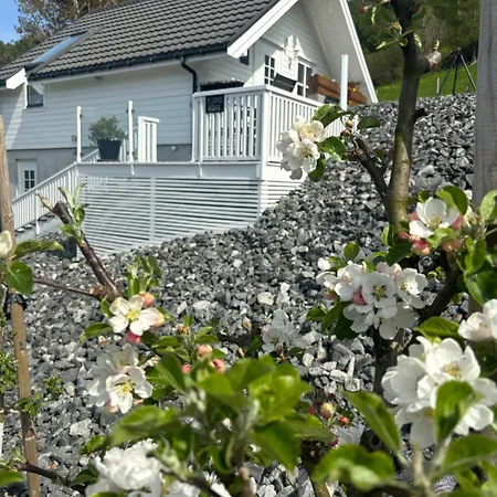 Fjord Road Hjelmeland