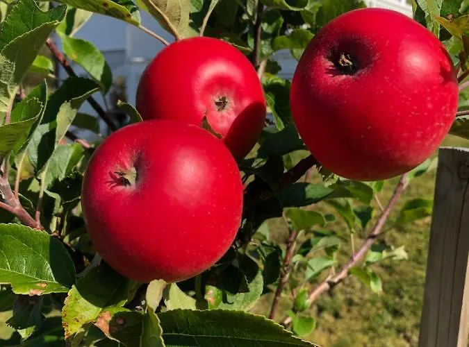 Appartamento Fjord Road